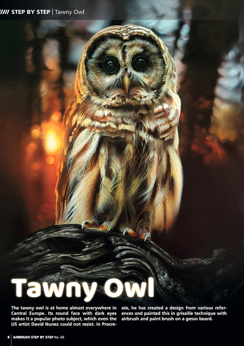 AIRBRUSH STEP BY STEP MAGAZINE ISSUE #69