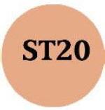 1oz ProAiir Hybrid Airbrush Skin Tone - ST20