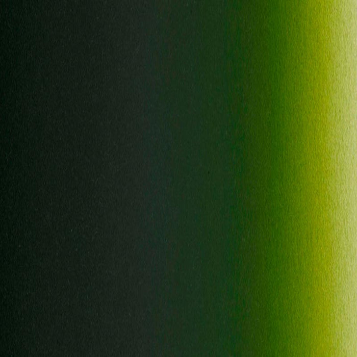 2oz Createx Illustration Color - Moss Green 5065-02