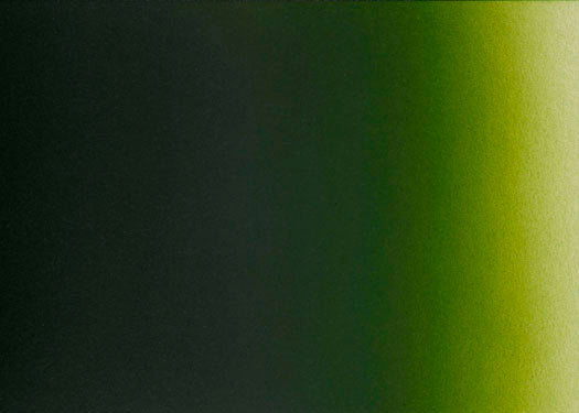 2oz Createx Illustration Color - Moss Green 5065-02